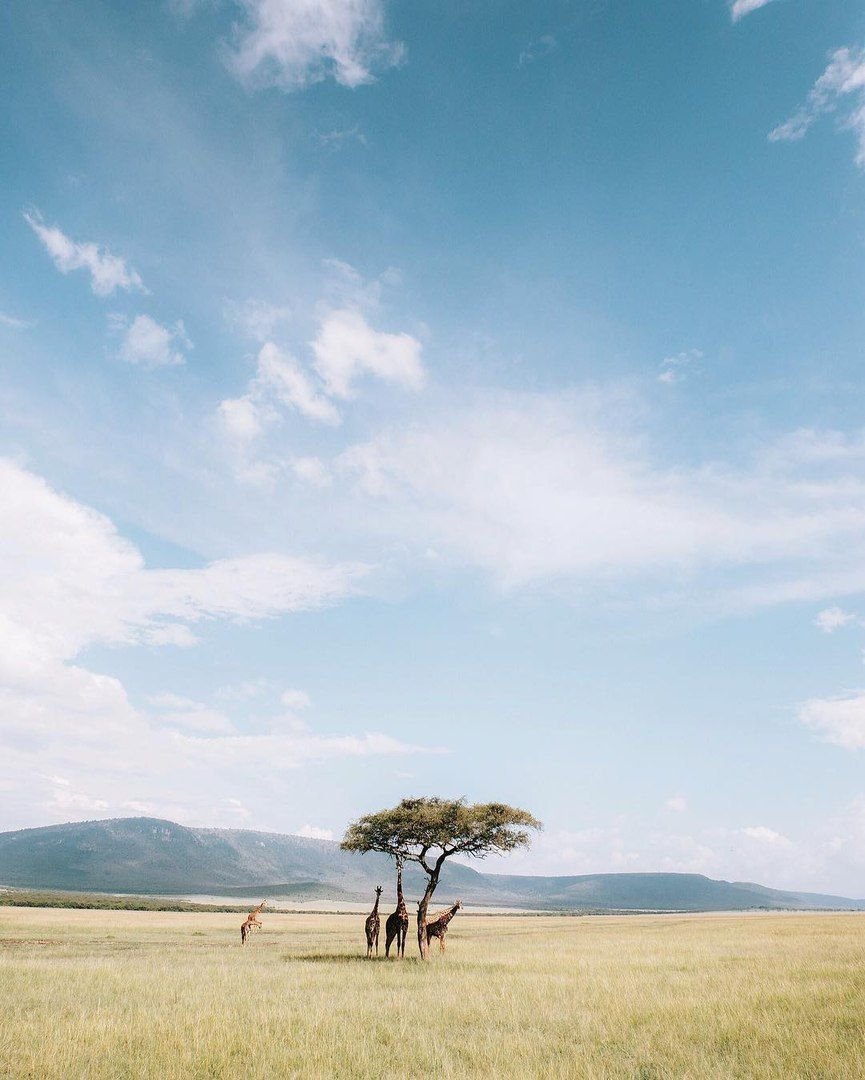 Климат Танзании