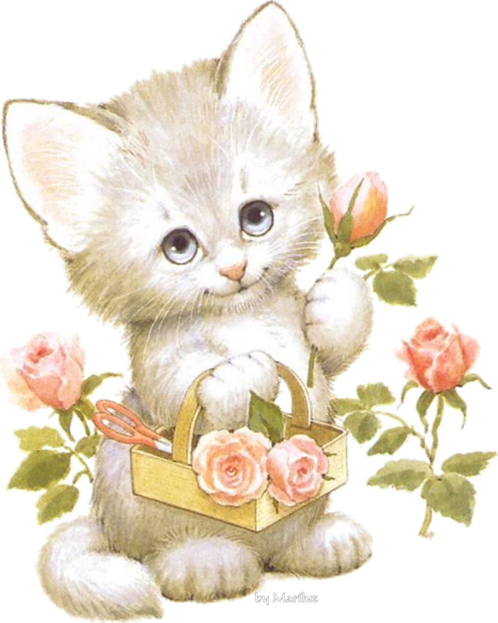 Кот с цветами