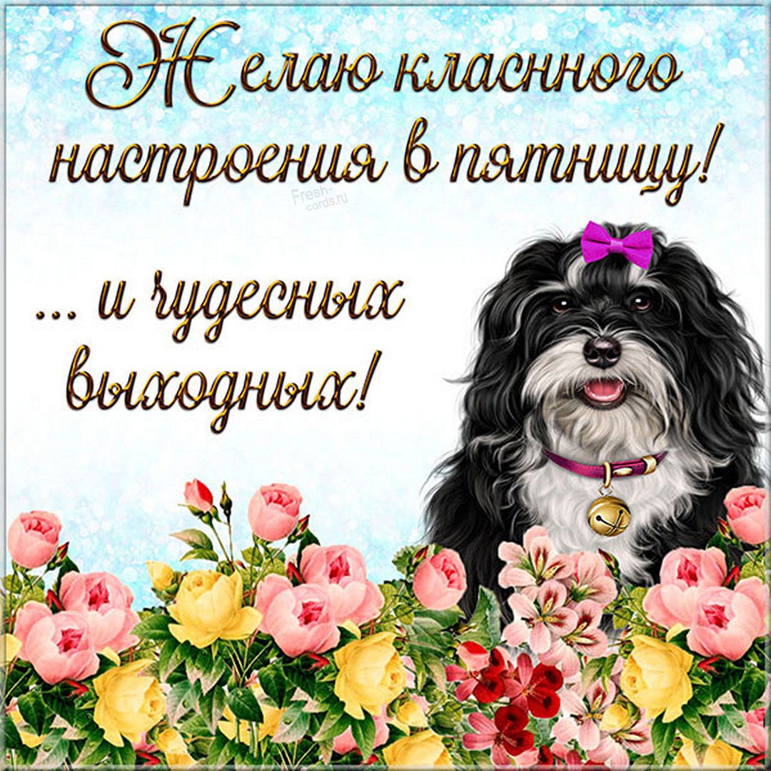 Открытки с выходными прикольные