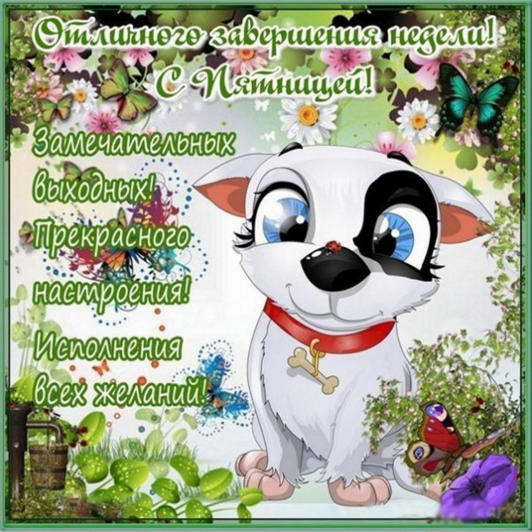 Шуточные пожелания доброго утра и хорошего дня