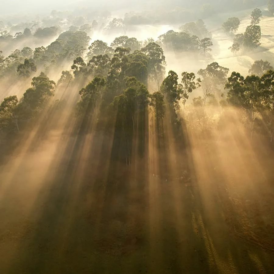 Интересные мысли