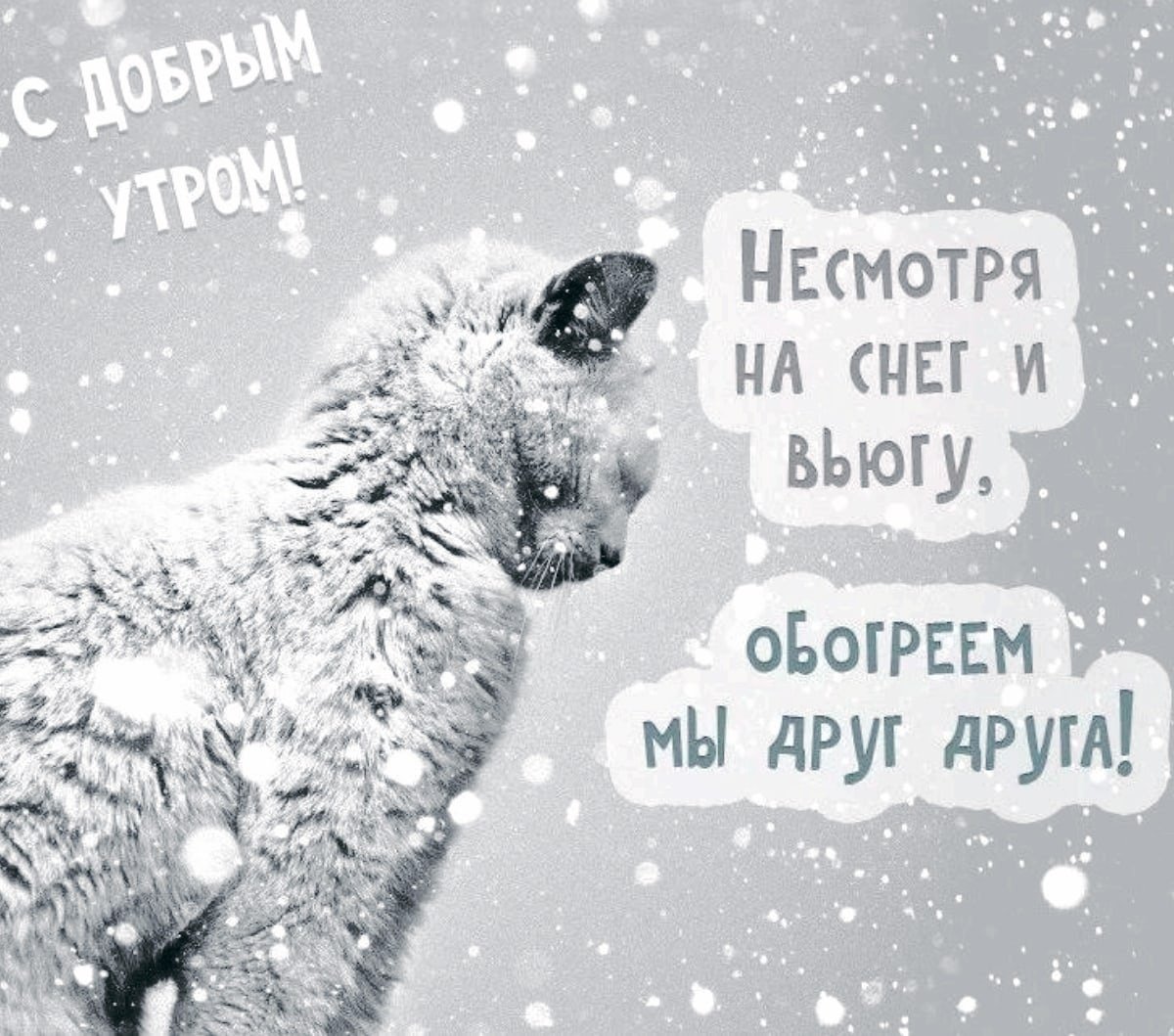 Дождались снега картинки