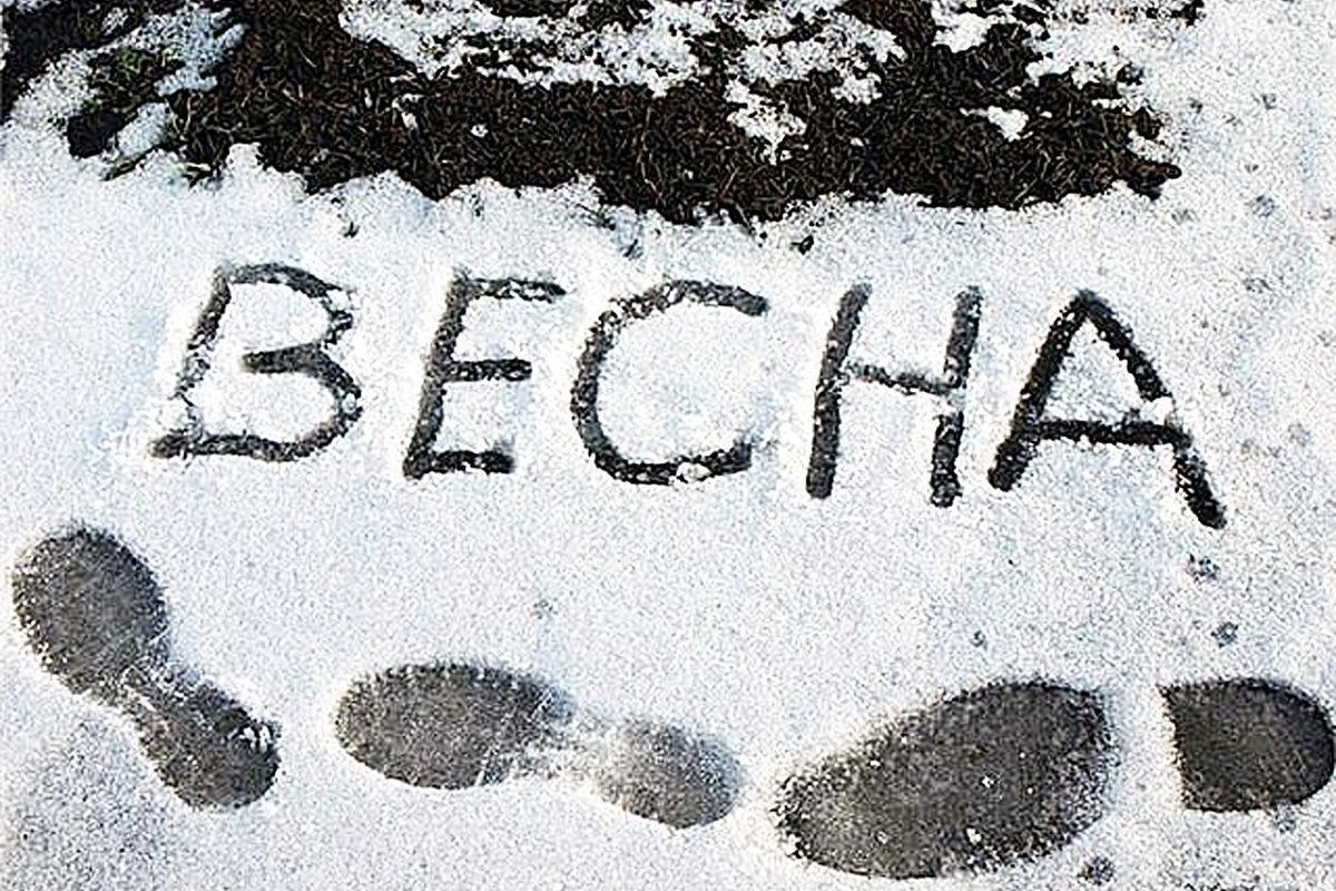 Прикольные Снеговики