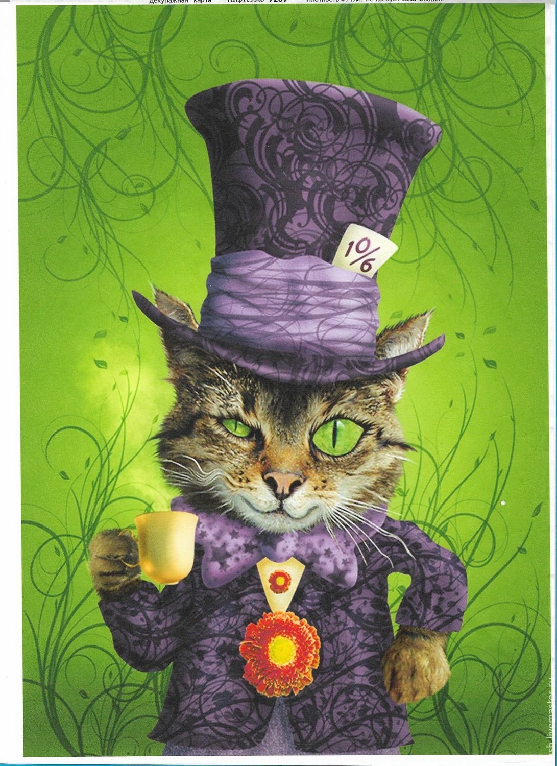 Котик в шляпе картинки