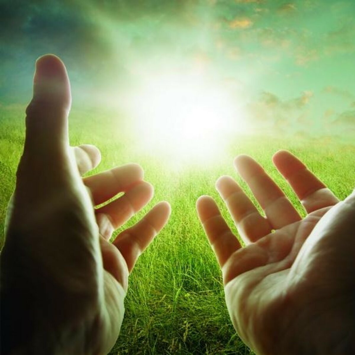 Надежда на лучшее будущее