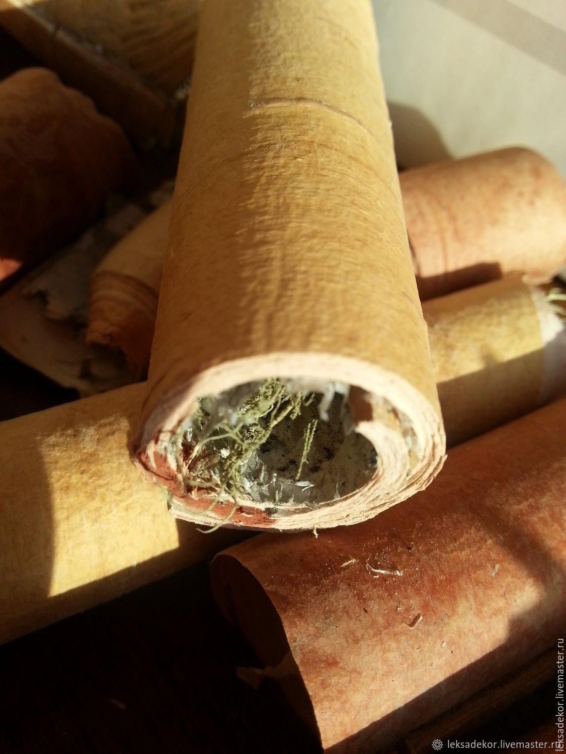 Березовая трубочка