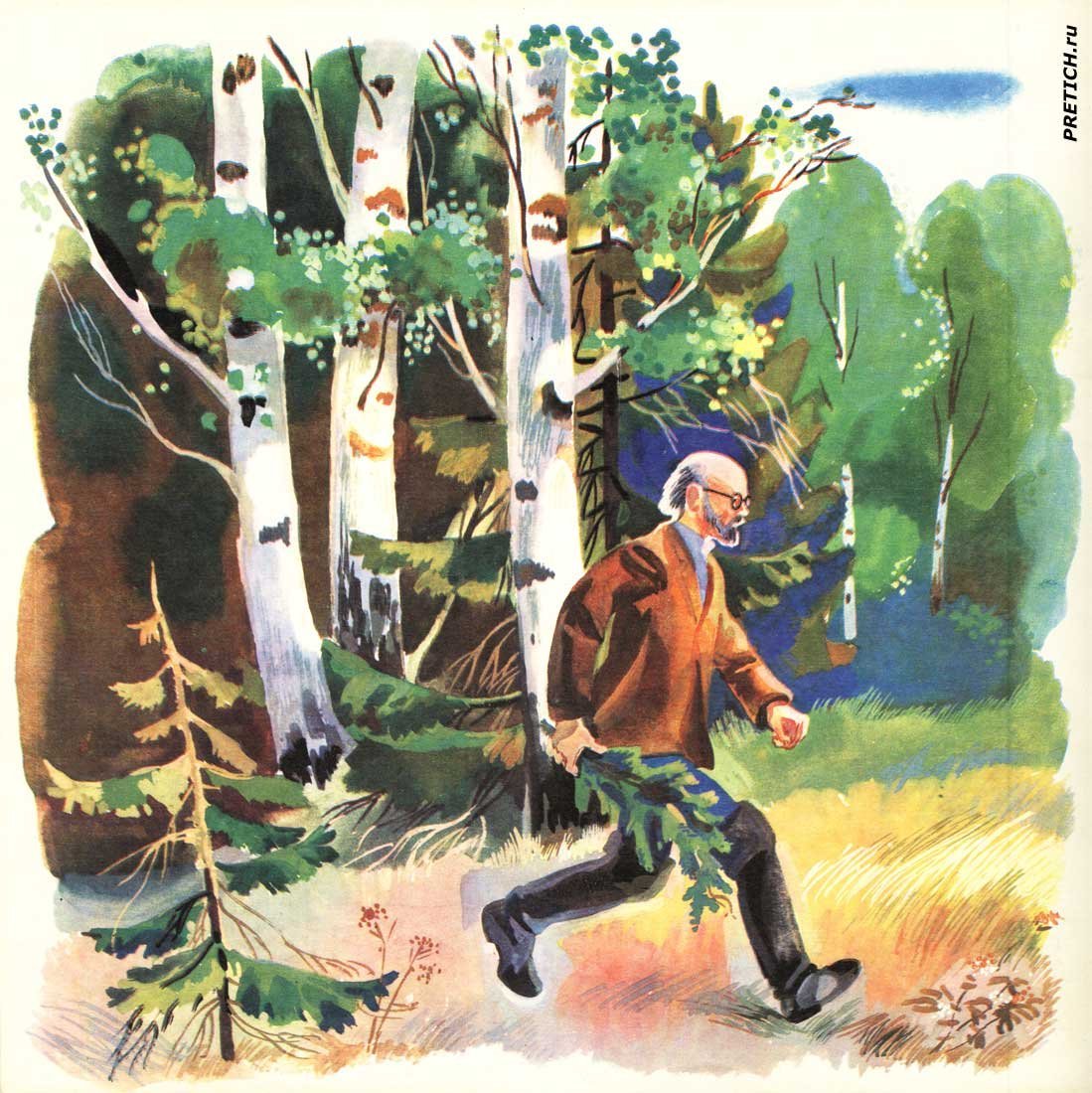 Береста березы