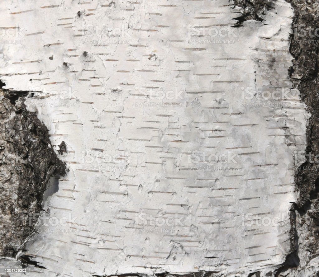 Старинный свиток