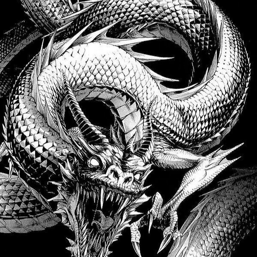 Дракон черно белый