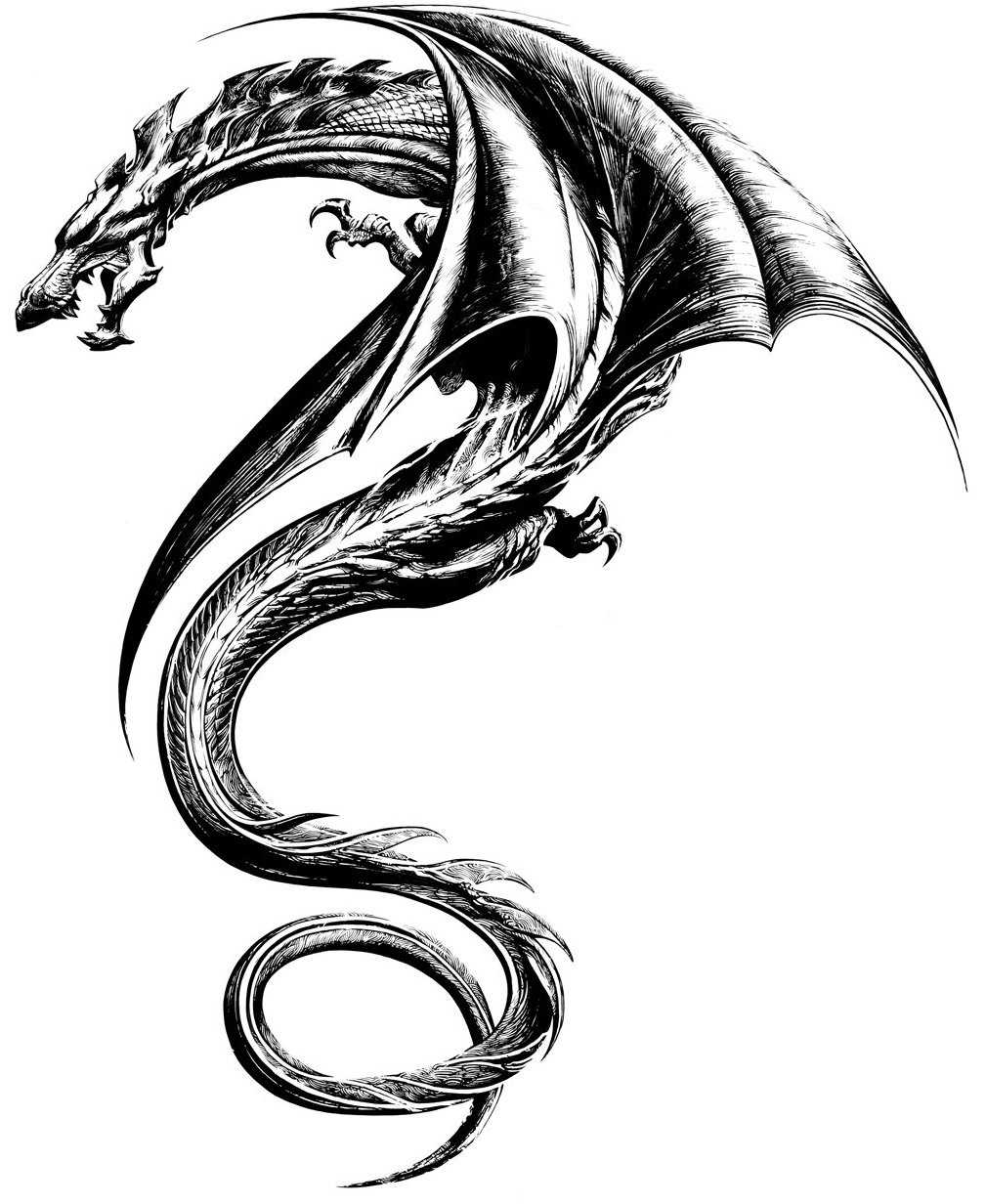 Дракон тату эскиз