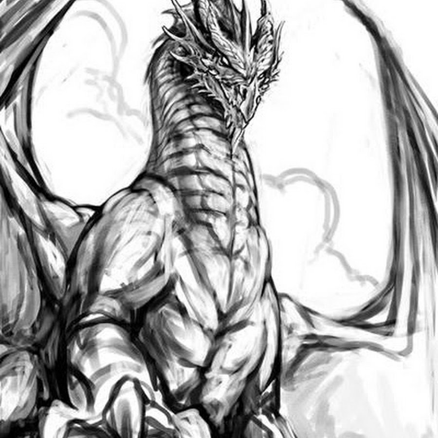 Дракон черно белый