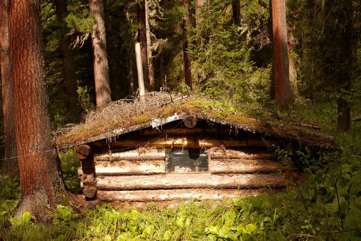 Сосновый лес изба скит Торжок