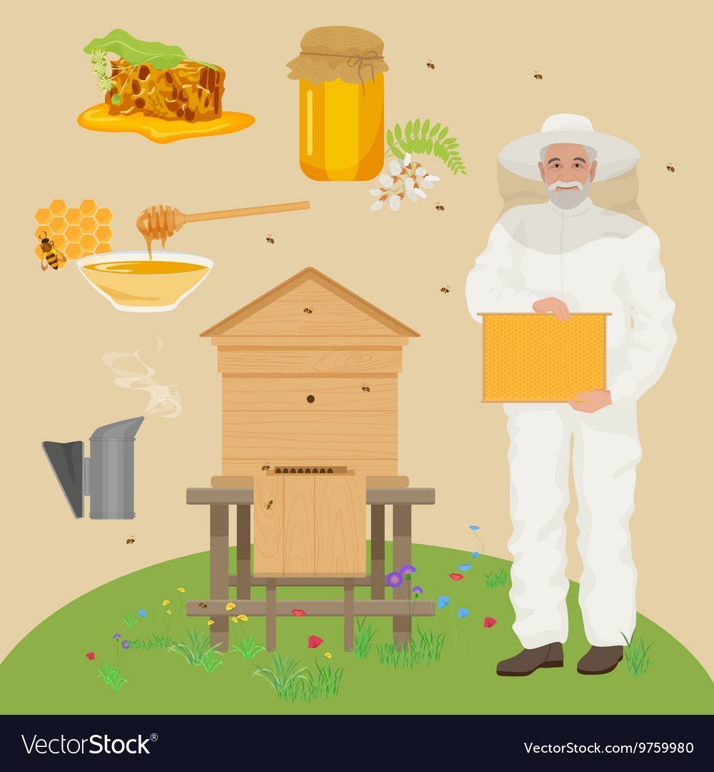 Пчеловод вектор