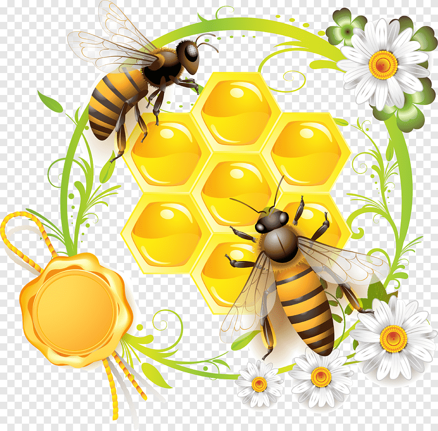 Пчелка на сотах