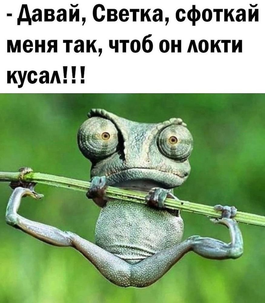 Обещанного три года ждут