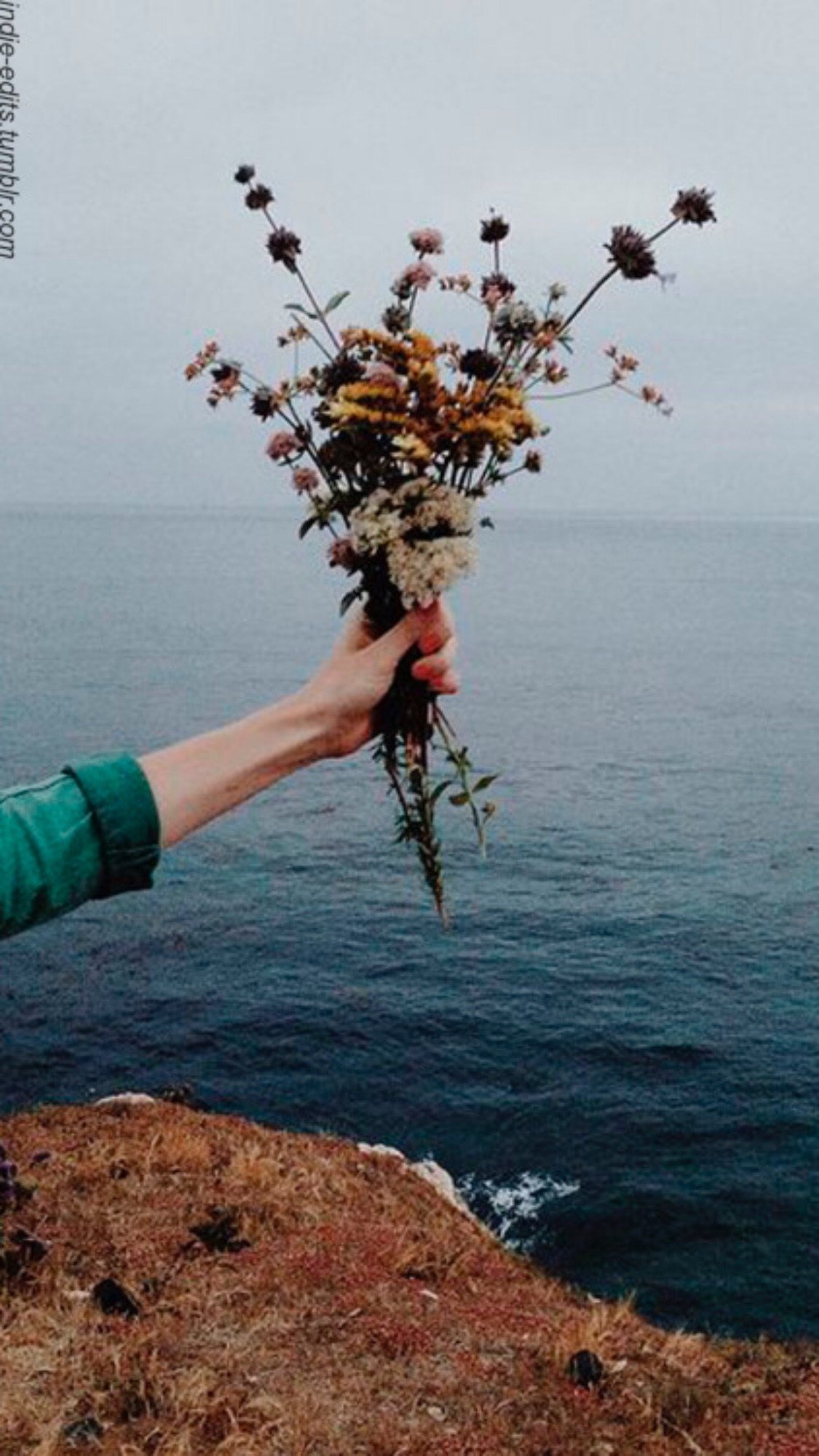 Позитивные высказывания