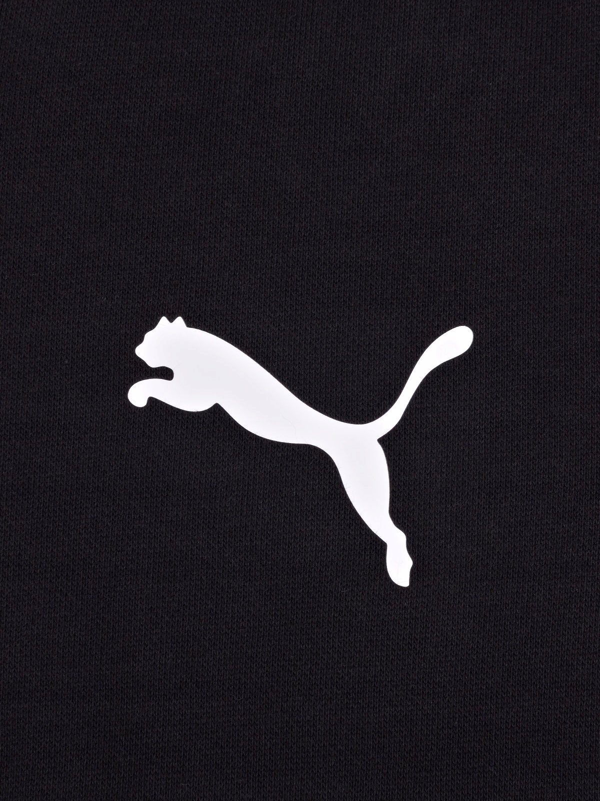 Обои Пума на телефон андроид вертикальные