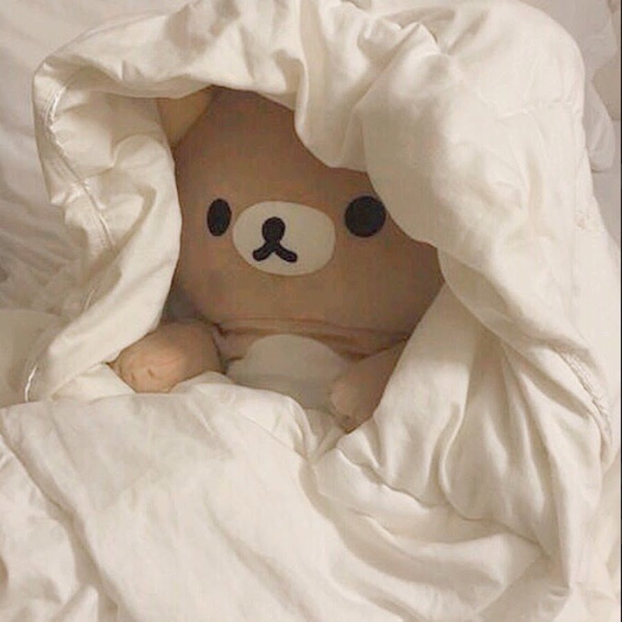 Мишка Эстетика Рилаккума