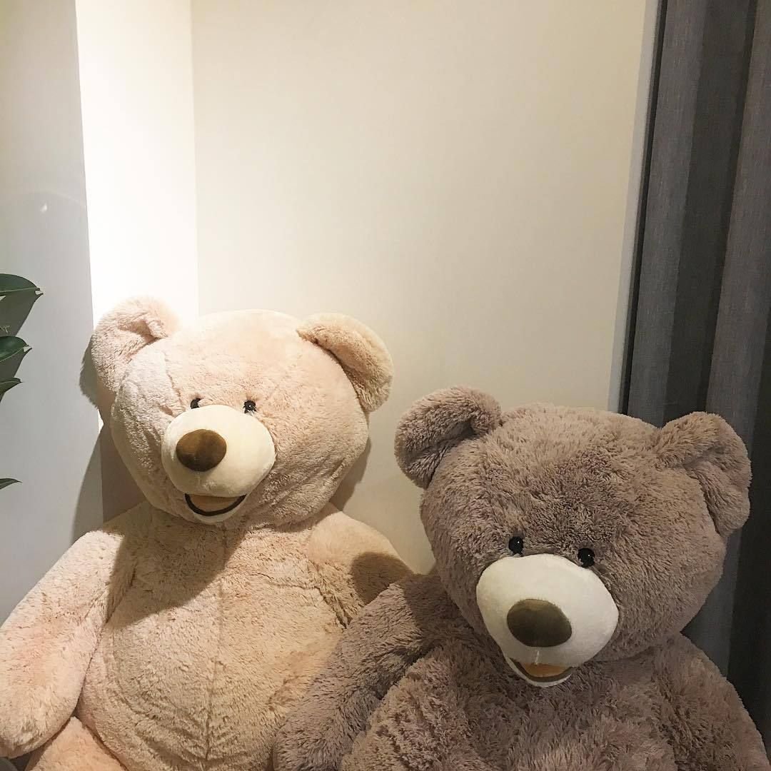 Плюшевый мишка Эстетика