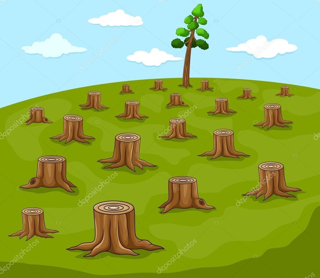 Вырубка лесов для детей