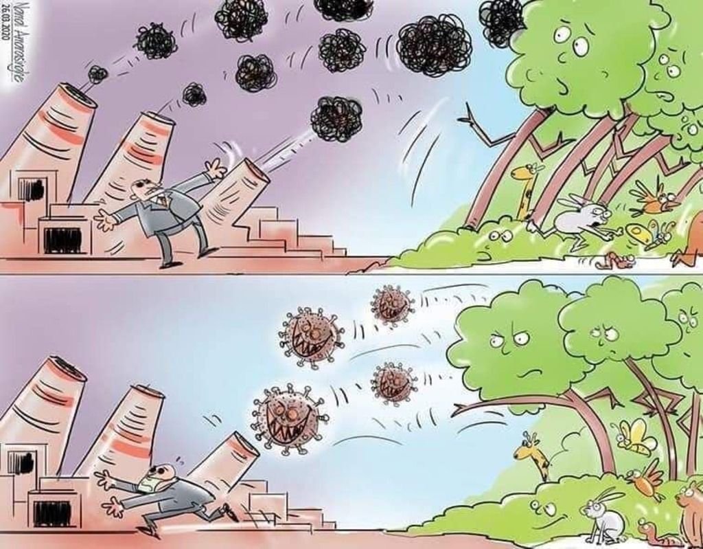 Вырубка леса картинки для детей