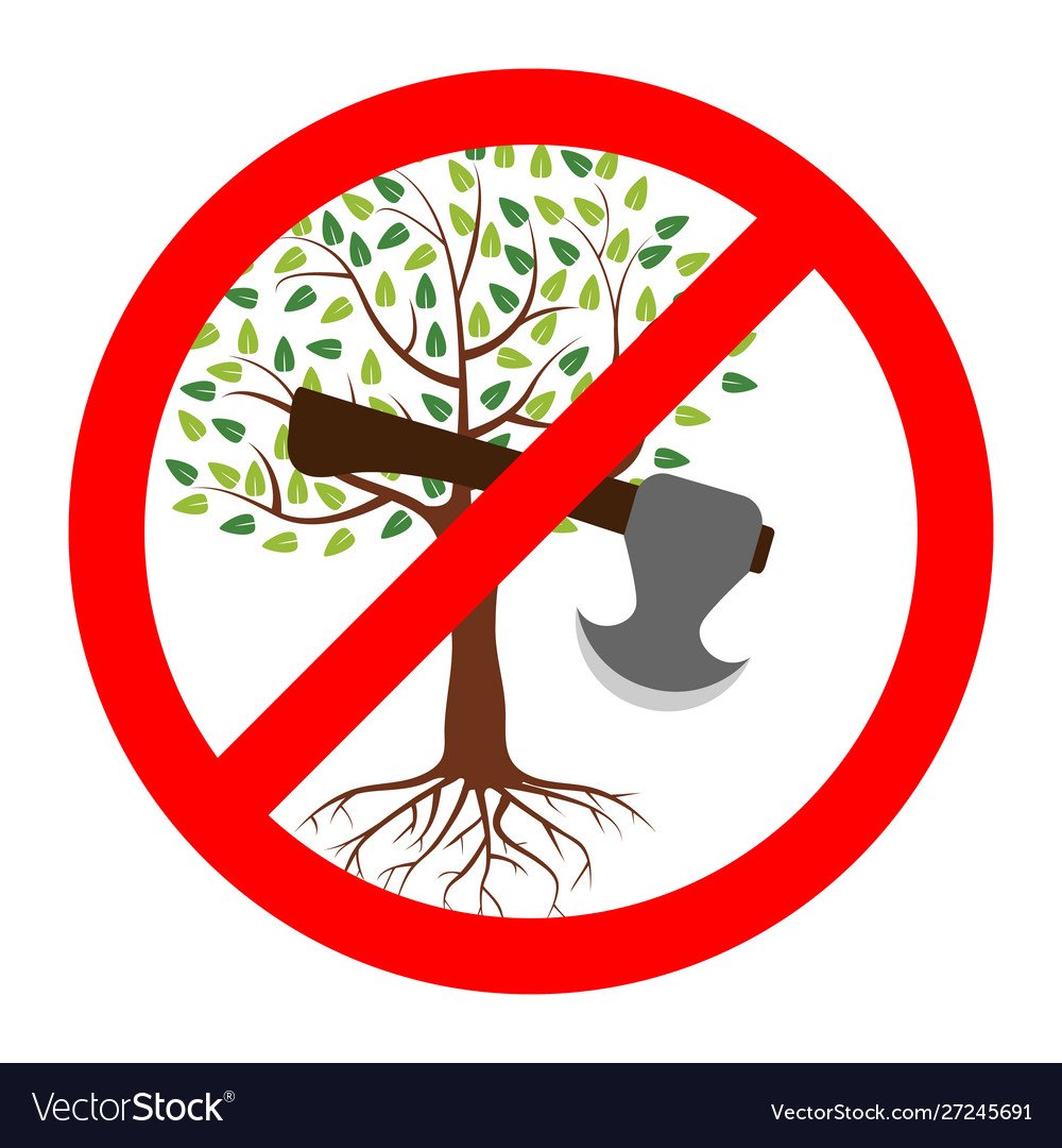 Не рубите елочку