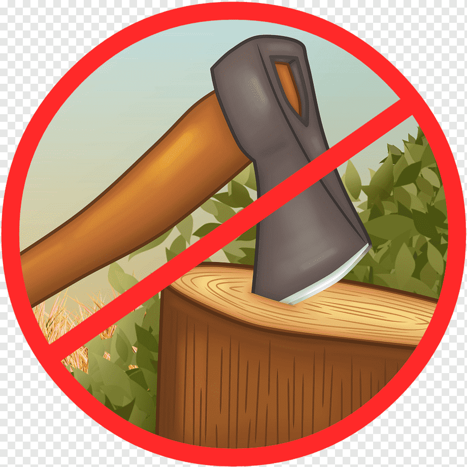 Вырубка лесов картинки