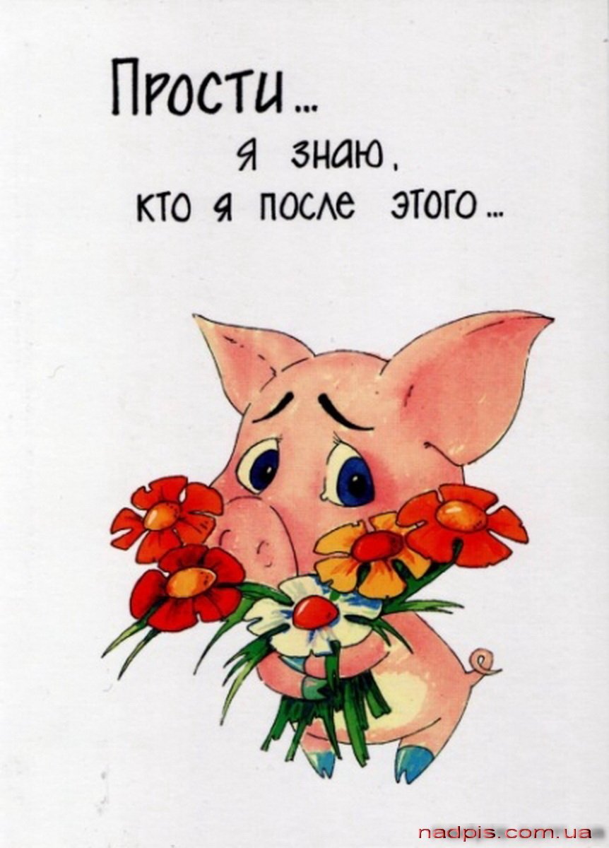 Ну пожалуйста картинки смешные