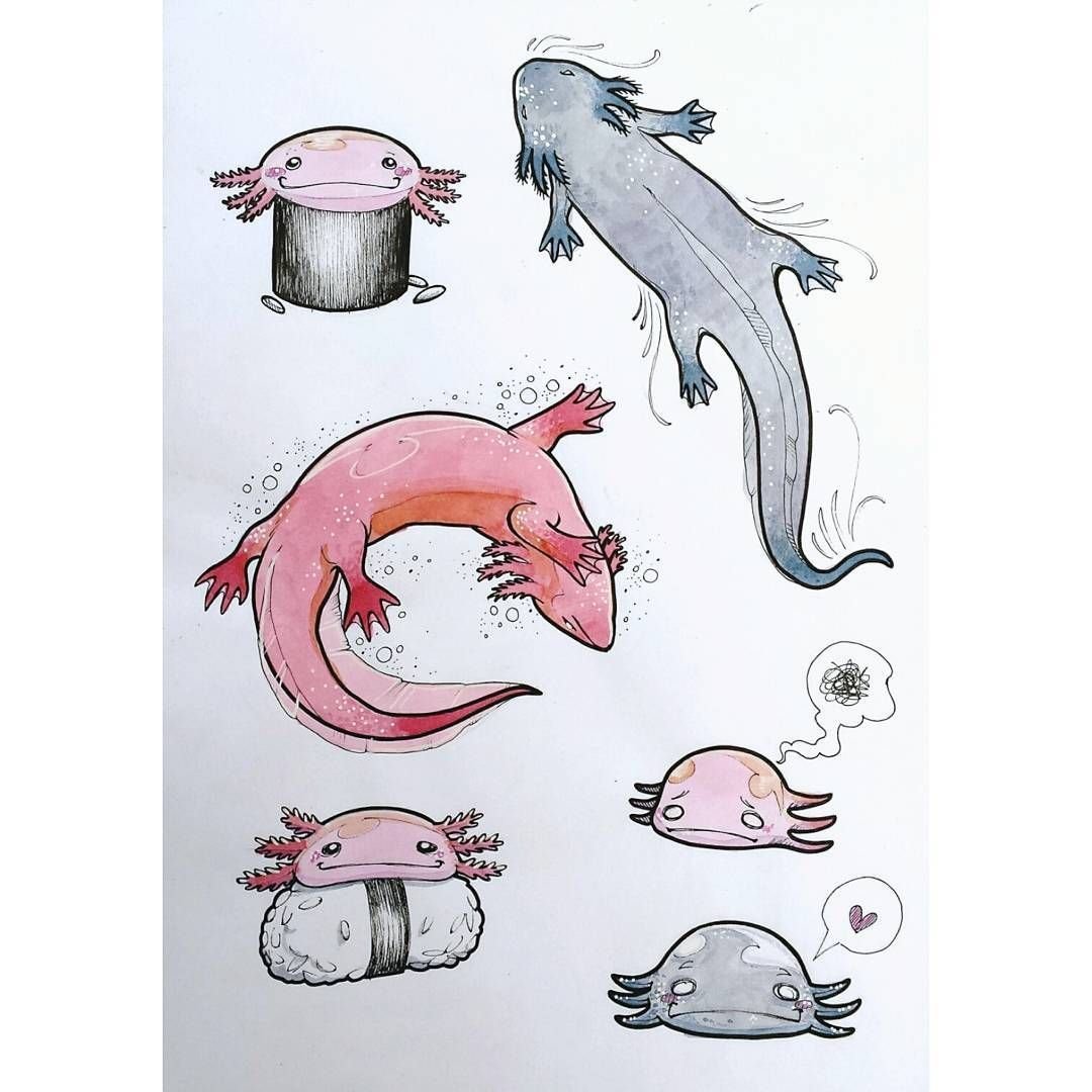 Раскраска аксолотль милый