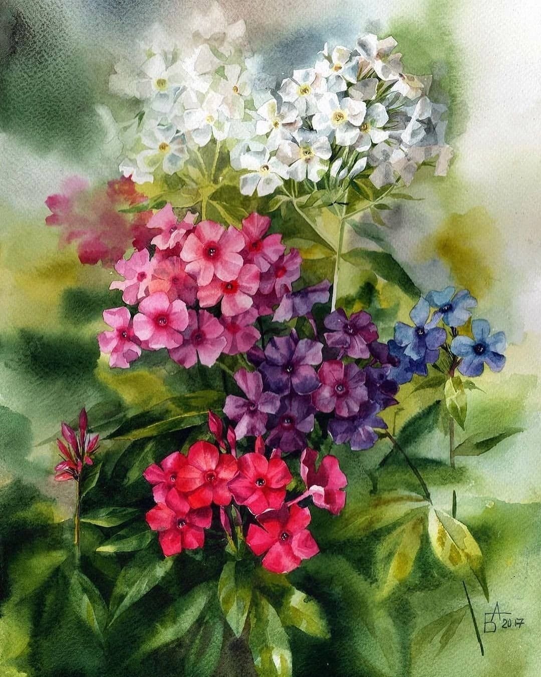 Анастасия Беседина художник акварель