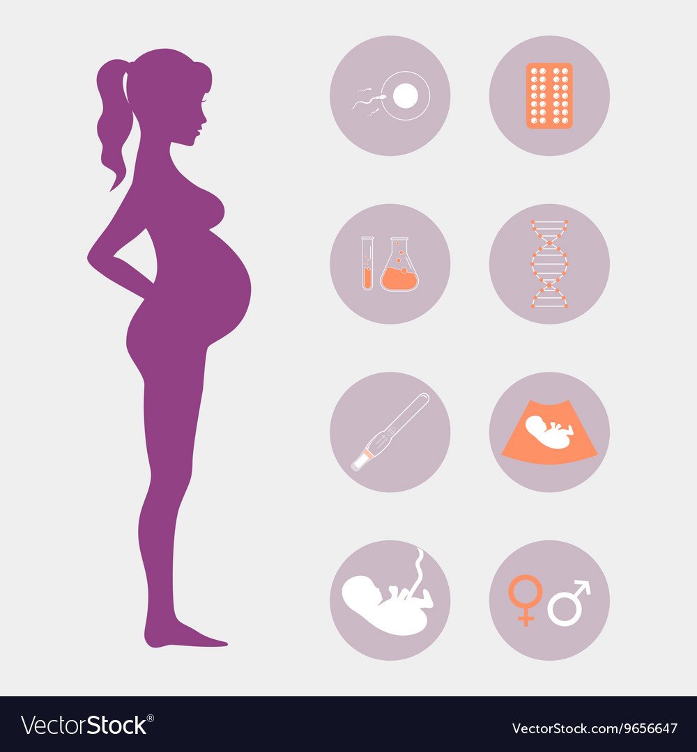 Беременная инфографика