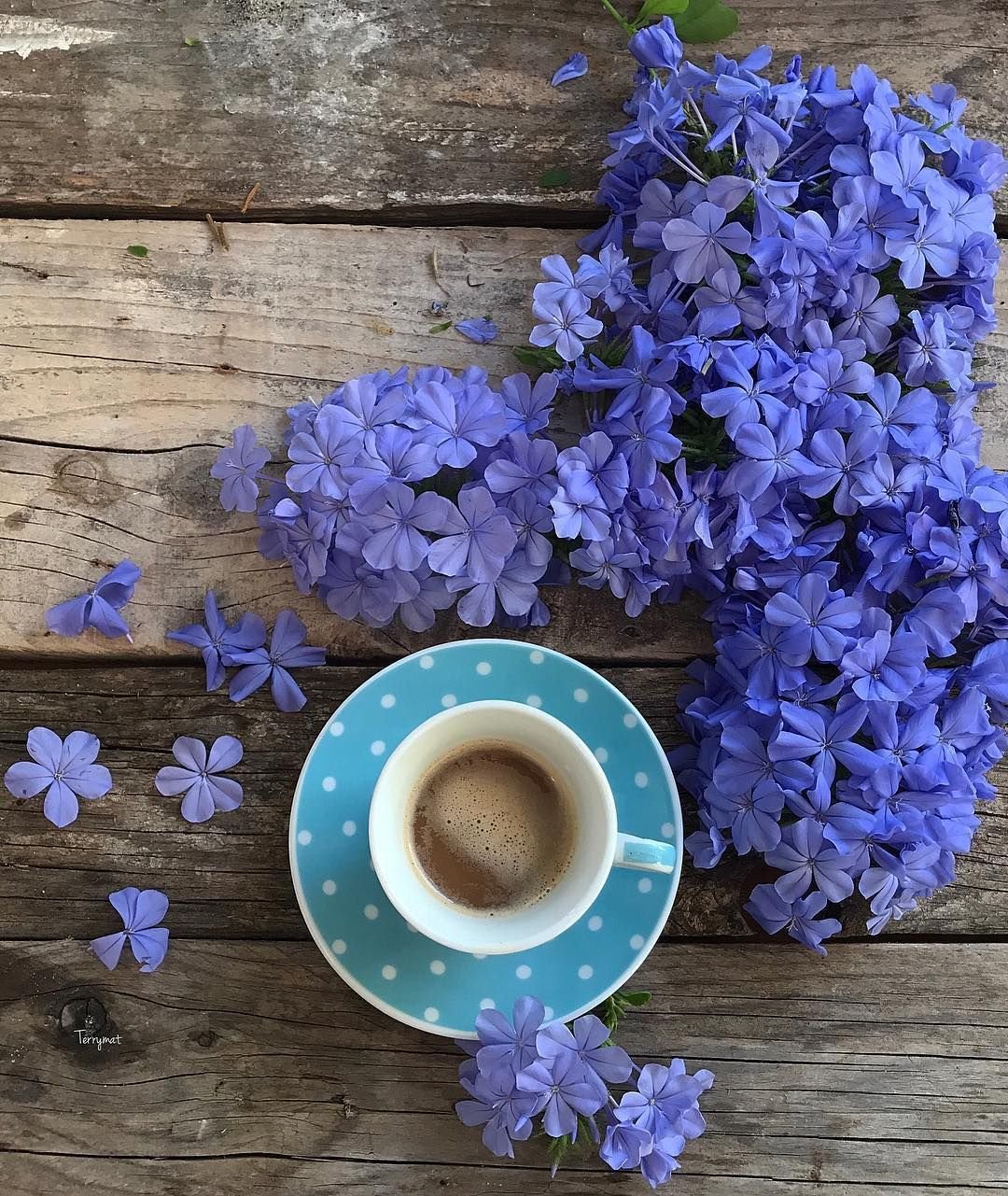 Доброе утро в синих тонах