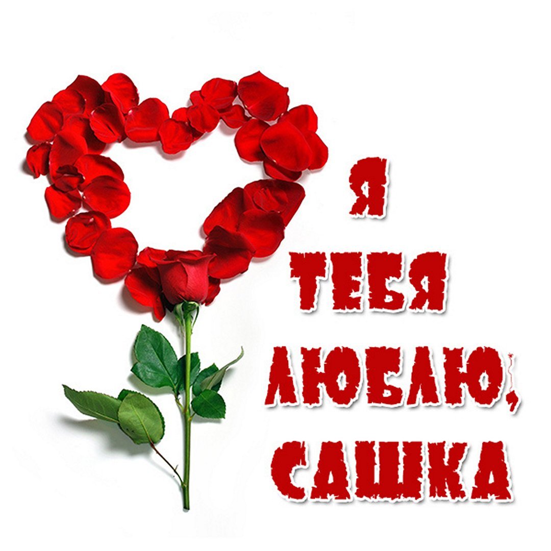 Имя Александр на прозрачном фоне