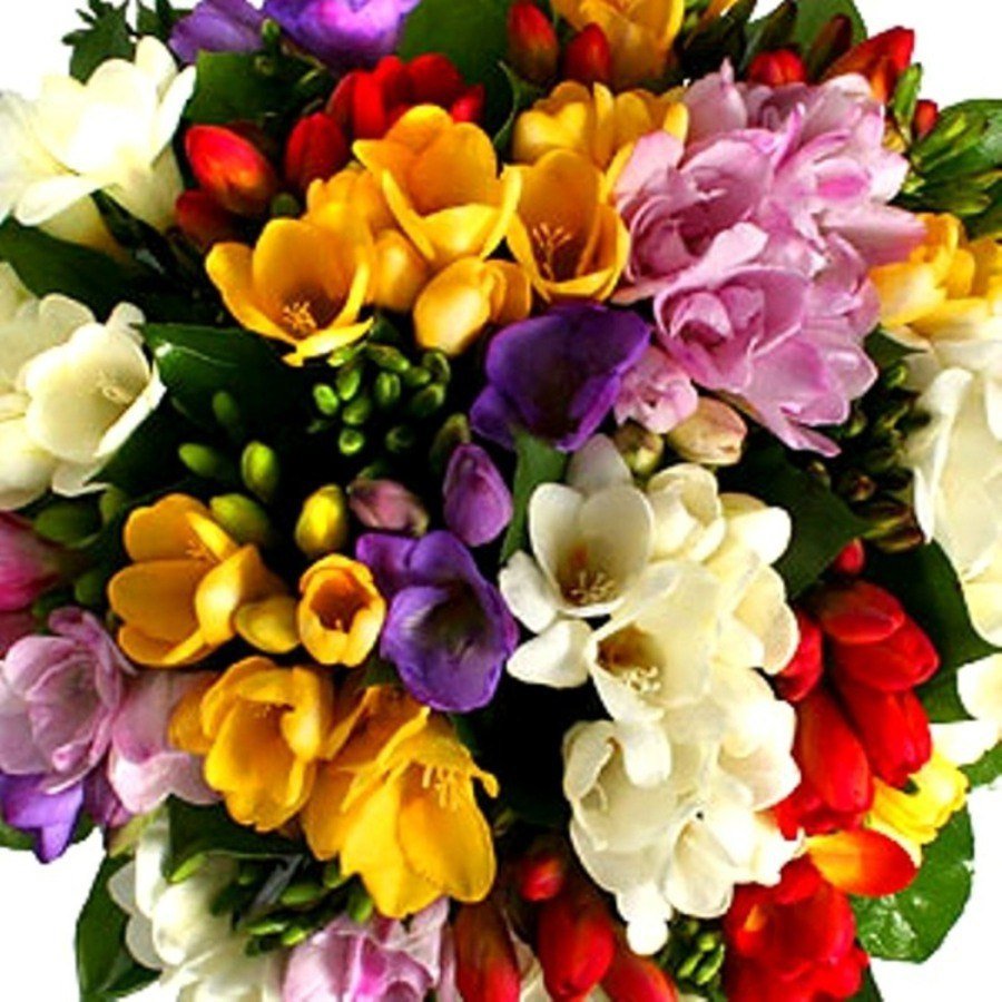 Букет с фрезией