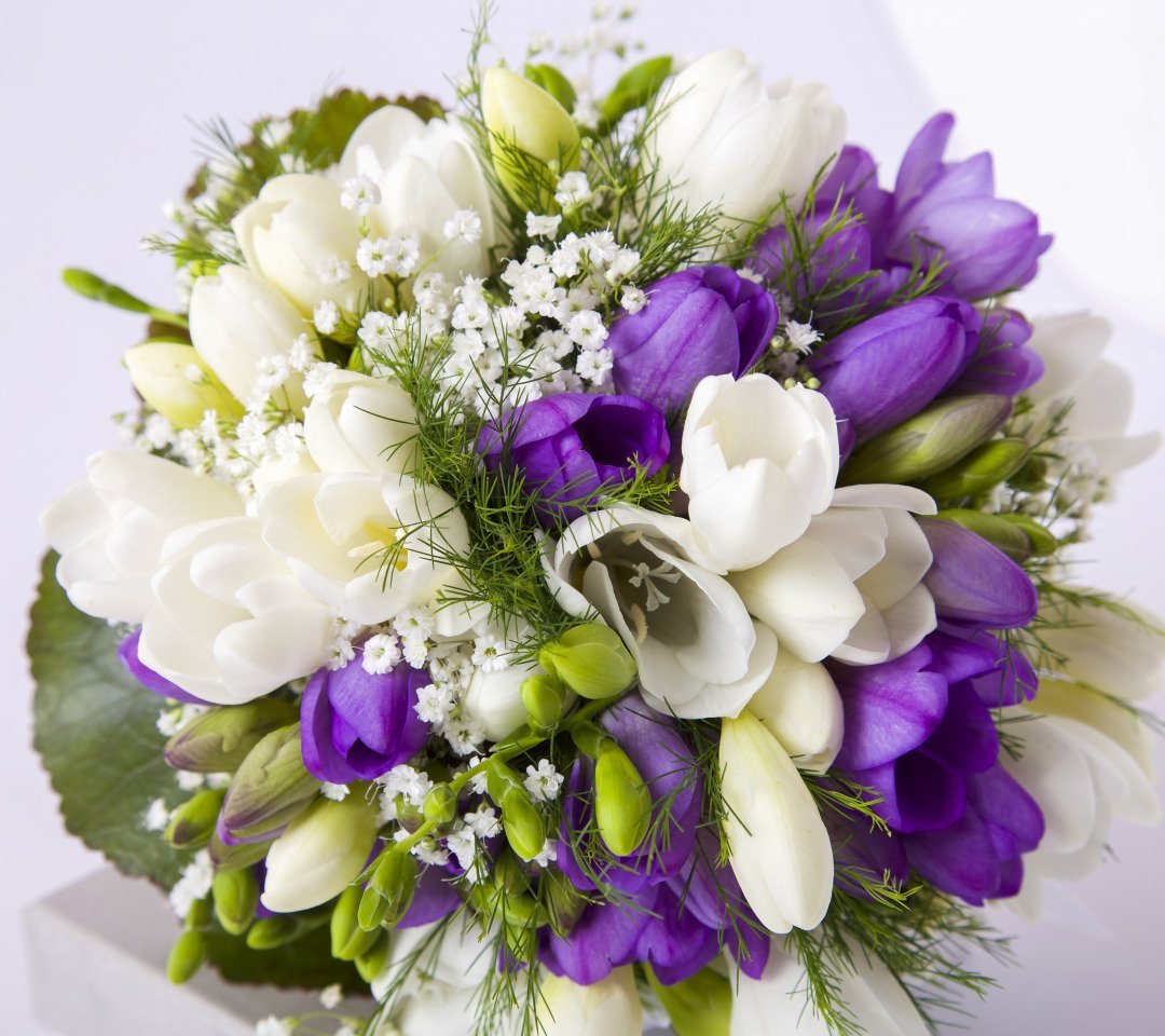 Фрезия Монобукет