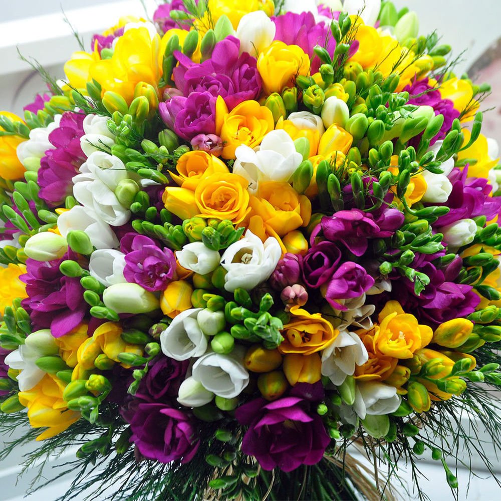 Фрезия ампельная