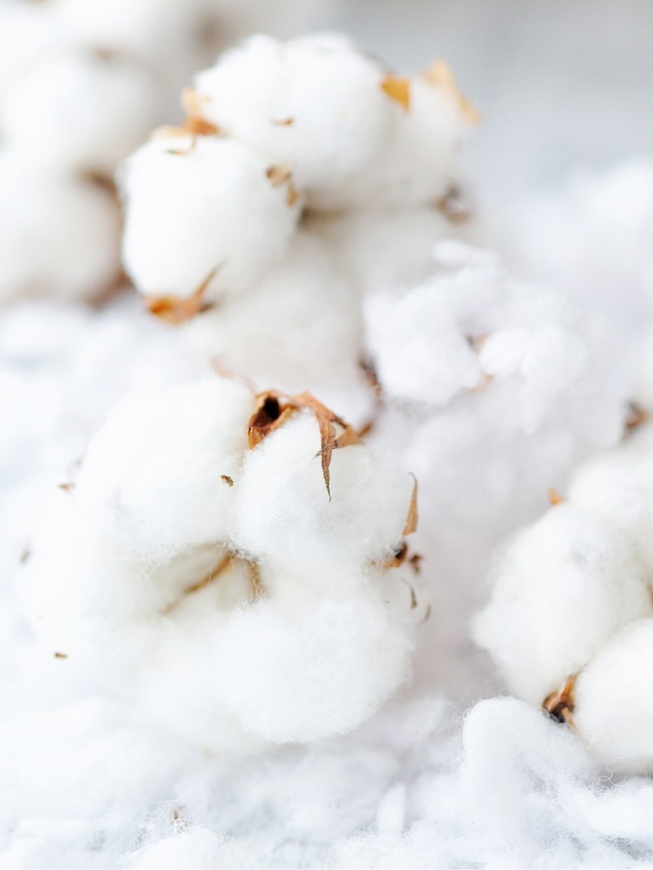 Красивый хлопок