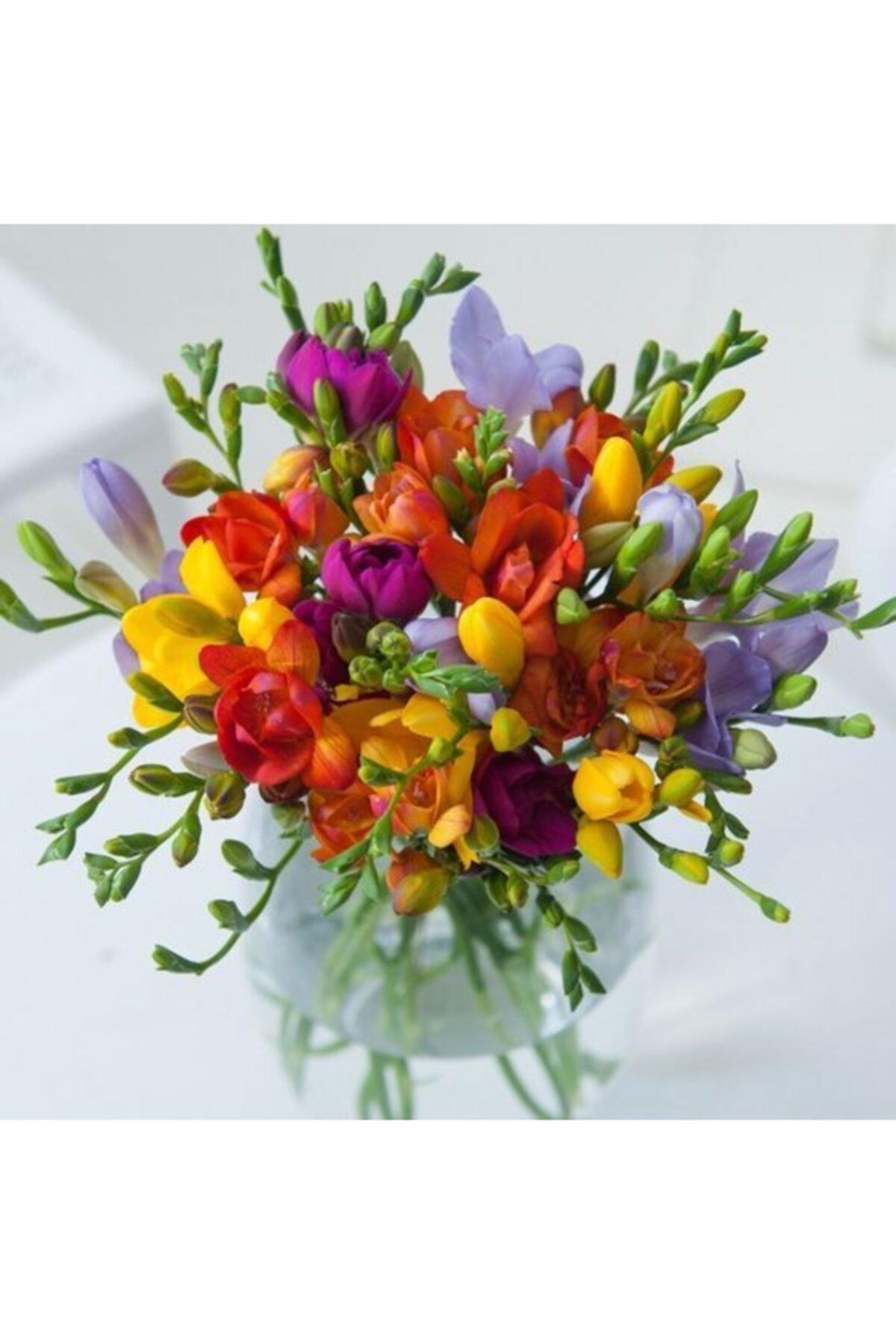 Фрезия с нарциссами букет