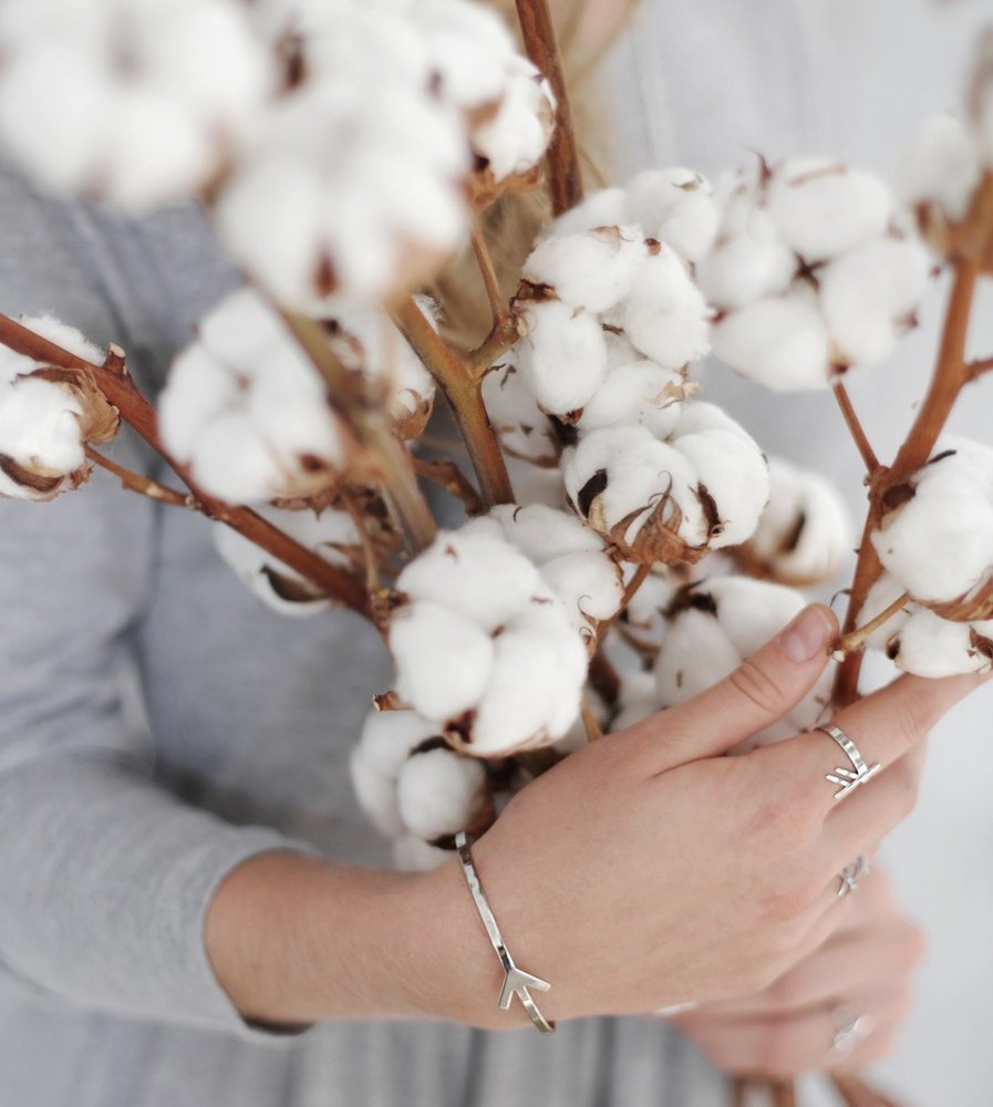 Хлопчатник Эстетика