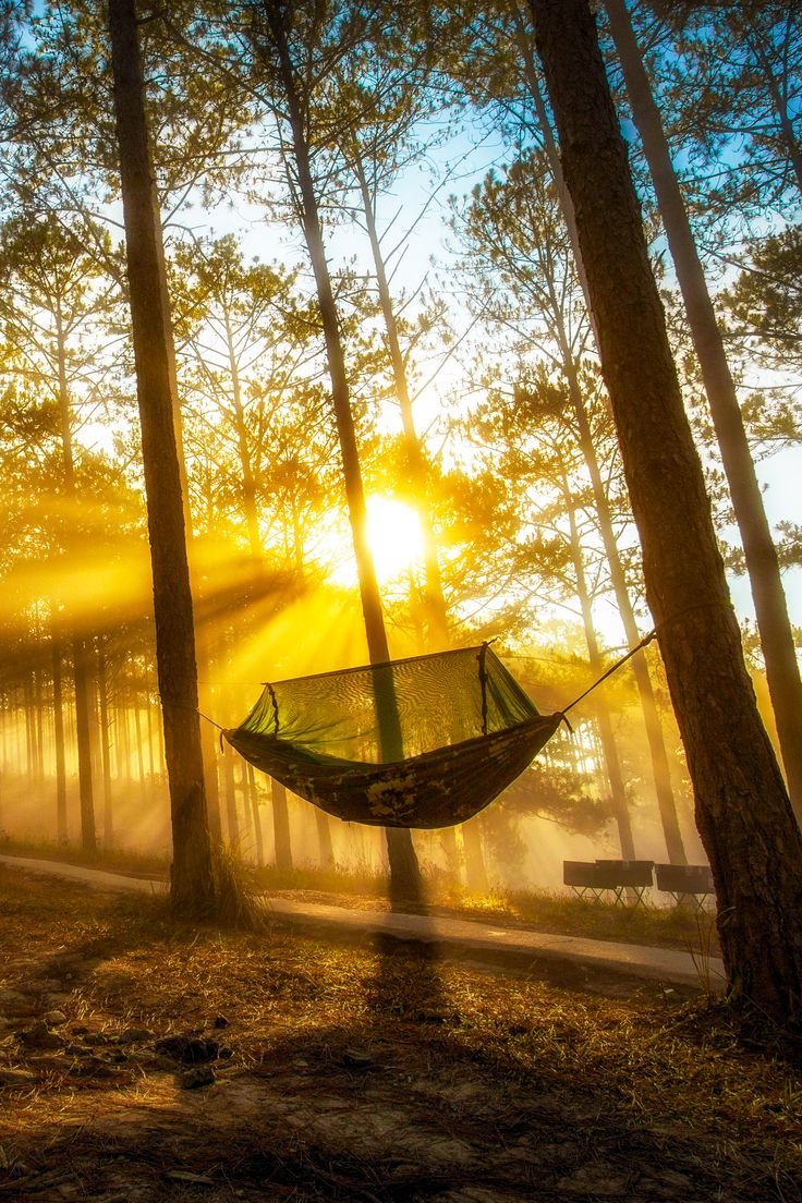 Утро природа