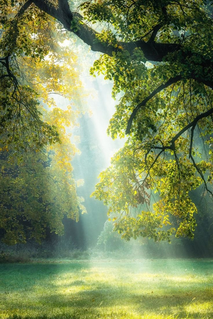 Чудесные пейзажи