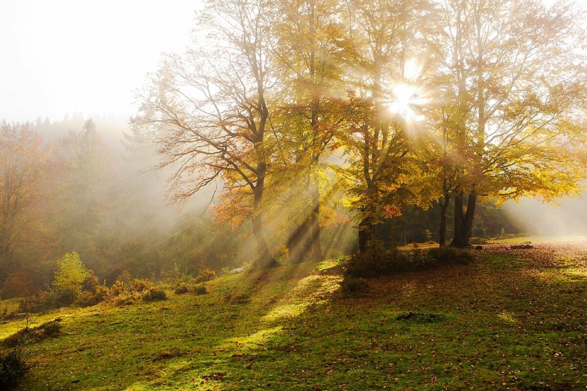 Осень солнце