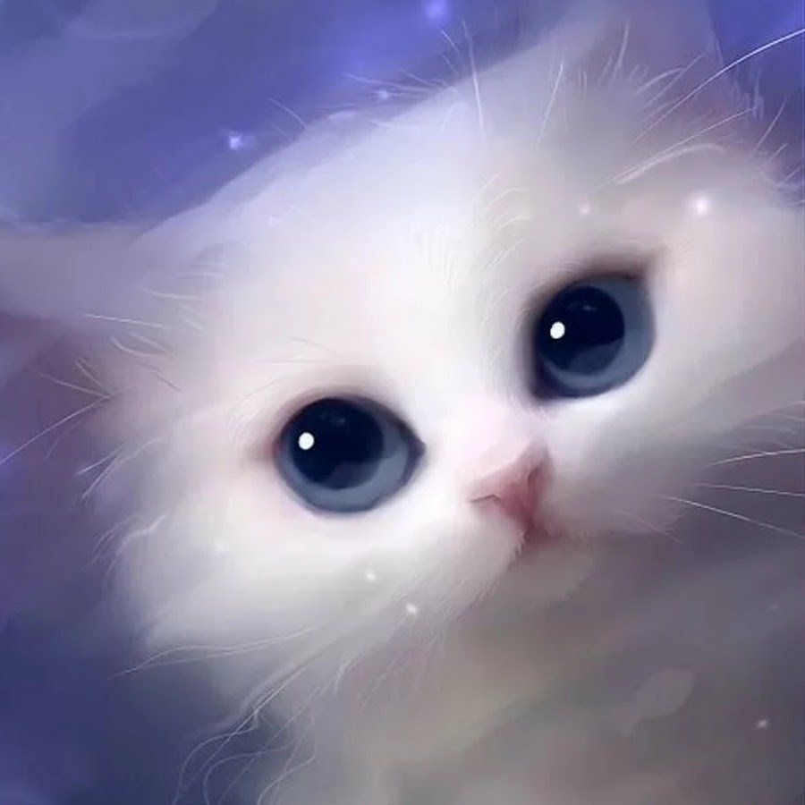 Милый белый котенок