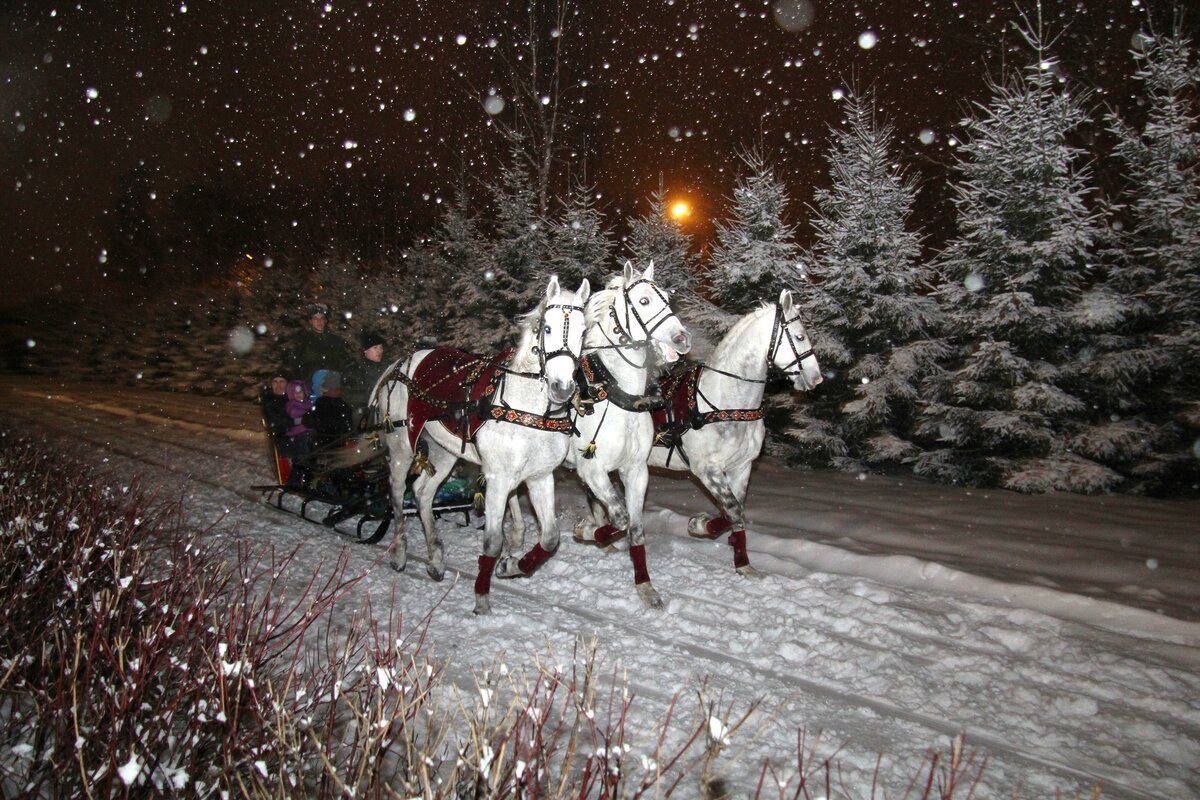 Тройка лошадей