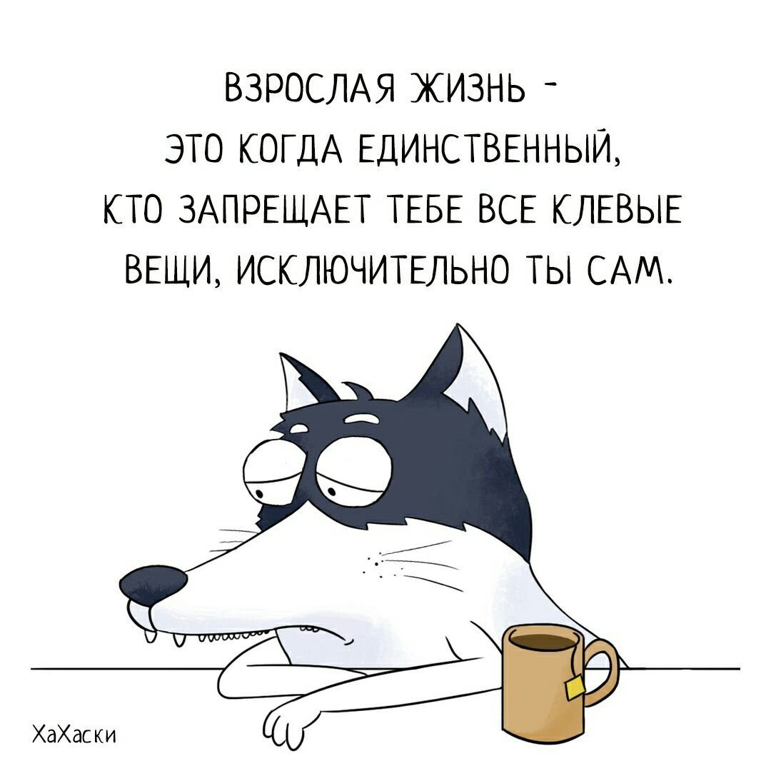 Хахаски отпуск картинки