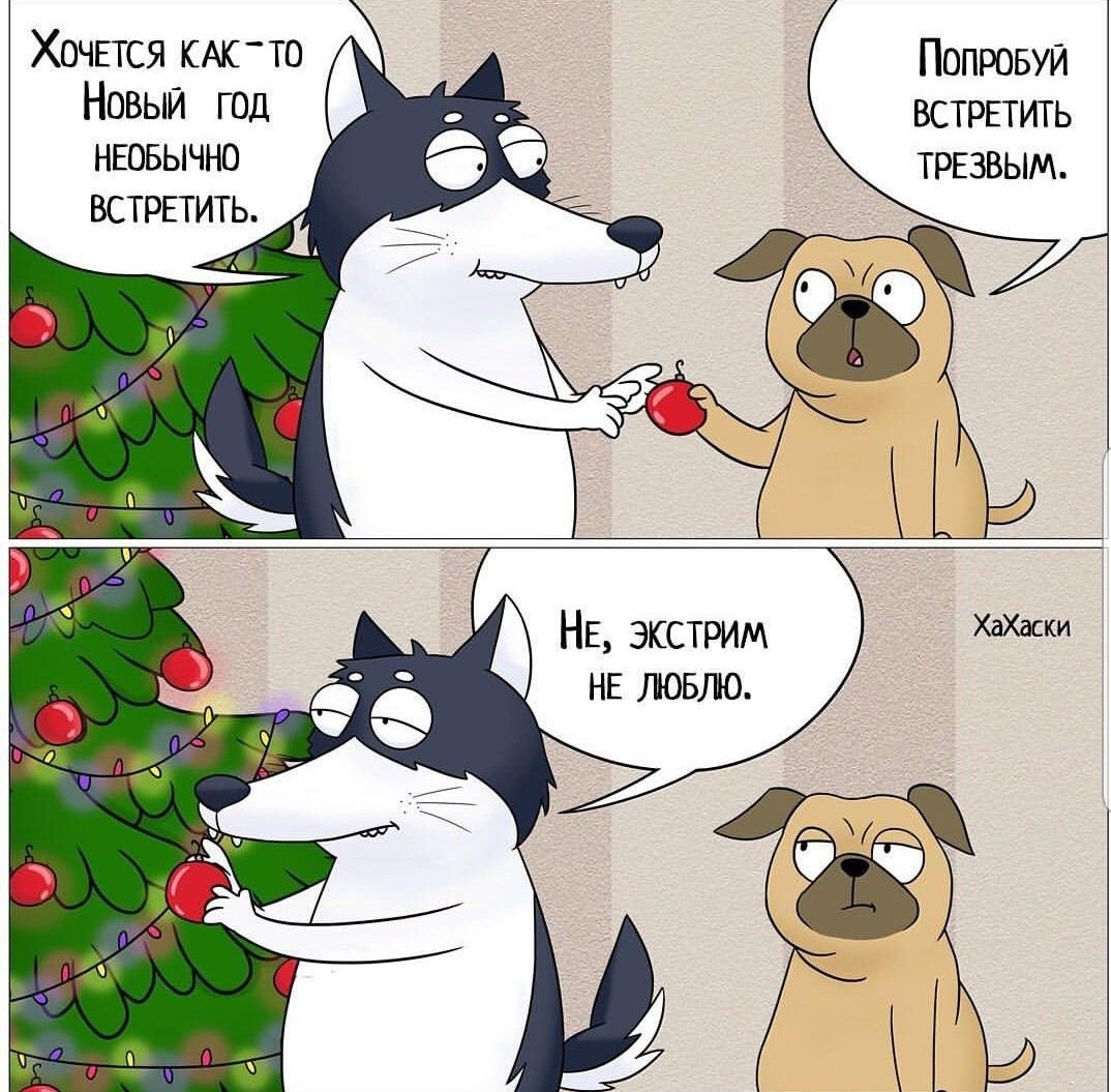 Новогодний Хахаски