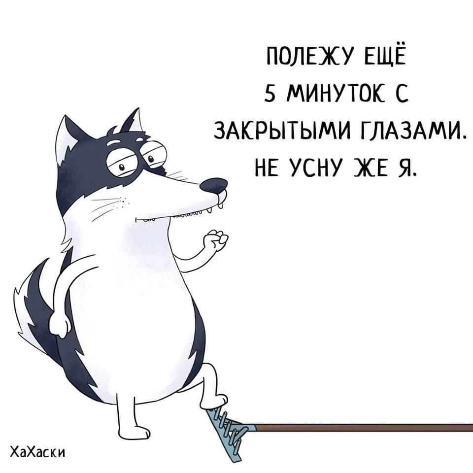 Хахаски выходной