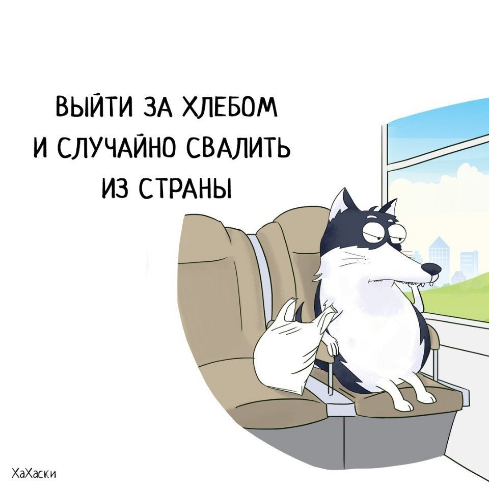 Настроение выйти за хлебом и случайно