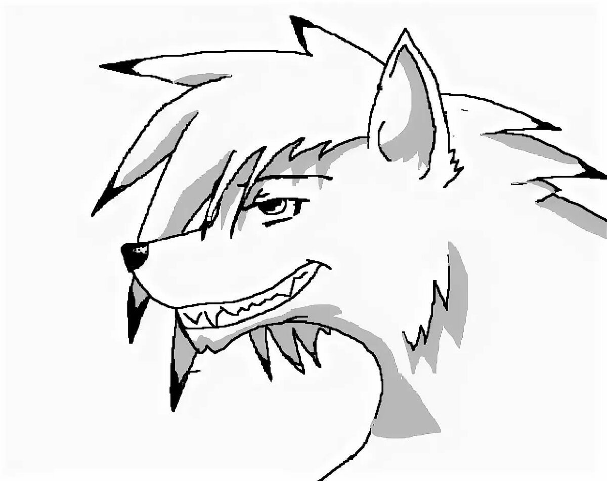 Волк для срисовки