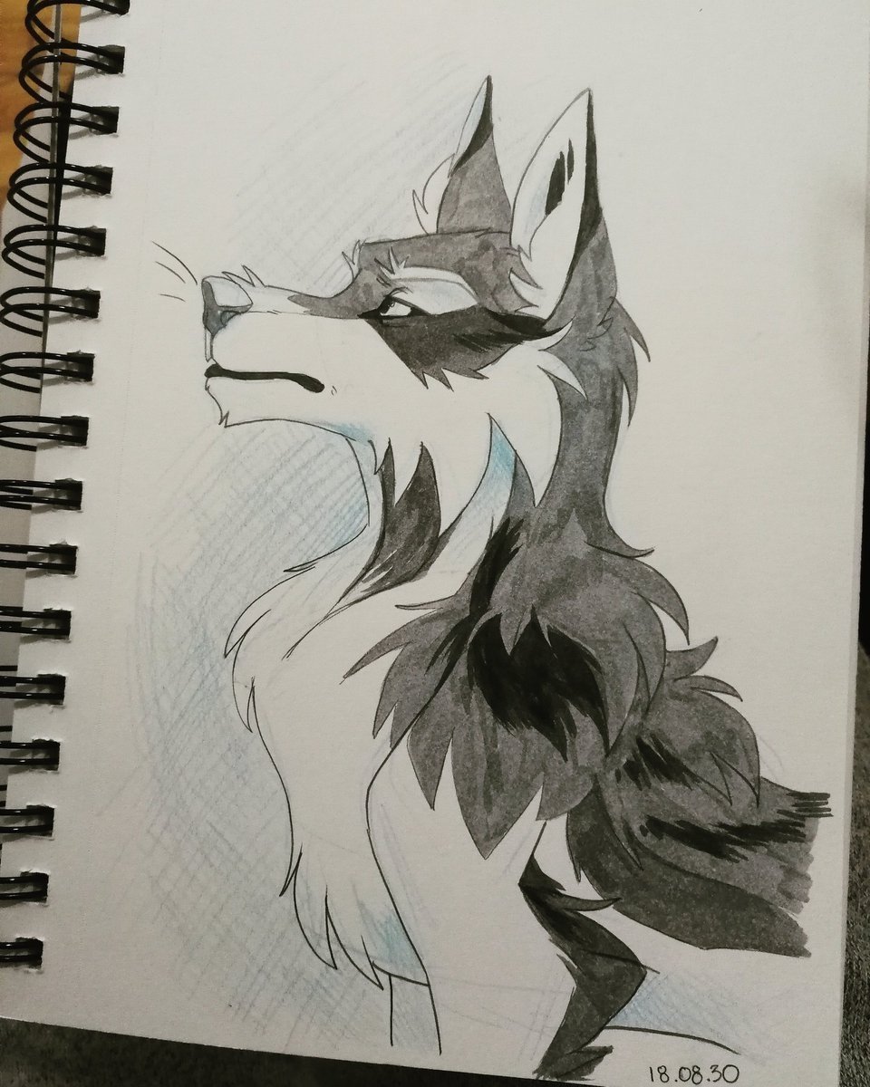 Дикие животные карандашом для срисовки